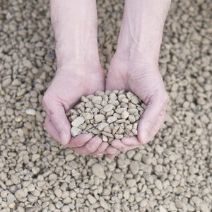 River Gravel: Pea Gravel - $60.00 Per Ton