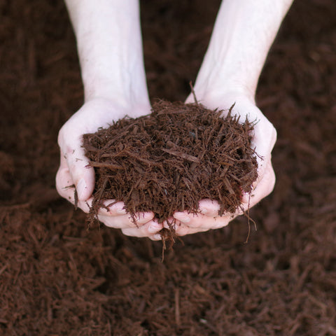 Double Ground Hardwood Dyed Brown (Chocolate Cherry) Mulch - $36.00 Per Cubic Yard