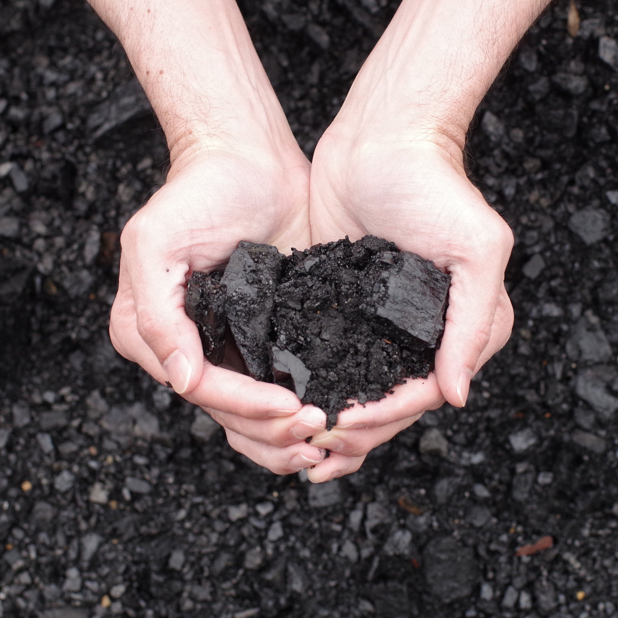 Run-of-Mine Coal - $100.00 Per Ton - Local Delivery Derry Latrobe Greensburg Ligonier Pennsylvania